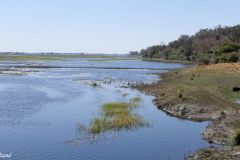 Namibia - Cuando River - Ngoma Bridge