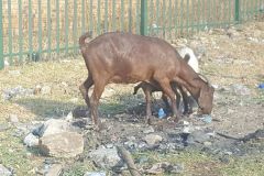 South Africa - Johannesburg - Soweto
