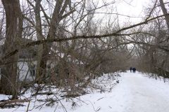 Ukraine - Chernobyl - Velikiy Zalissia (village)