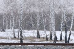 Ukraine - Chernobyl