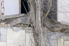 Ukraine - Chernobyl - Pripyat - Palace of Culture
