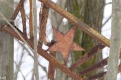 Ukraine - Chernobyl - Pripyat