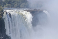 2018 Zimbabwe