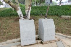 Kina - Beijing - Grand Canal - Beijing Tongzhou Canal Park