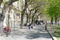 Slovakia - Bratislava - Hviezdoslavovo Square