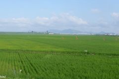 DPRK - Main Road South
