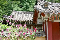 DPRK - Mount Myohyang - Pohyon Temple