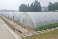 DPRK - Cooperative Farm no 1