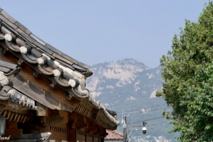 2019 South Korea