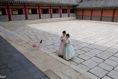 ROK - Seoul - Changdeokgung Palace Complex