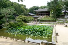 ROK - Seoul - Changdeokgung Palace Complex - Secret Garden - Buyongjeong