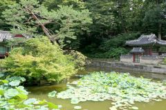 ROK - Seoul - Changdeokgung Palace Complex - Secret Garden - Buyongjeong