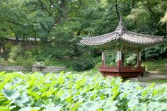 ROK - Seoul - Changdeokgung Palace Complex - Secret Garden - Aelyeonjeong