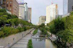 ROK - Seoul - Cheonggyecheon Stream