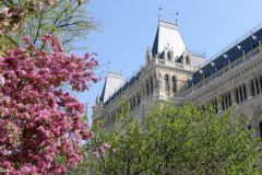 Austria - Wien - Rathaus