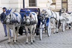 Austria - Wien - Hofburg