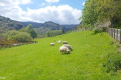 Ireland - Wicklow County - Glendalough