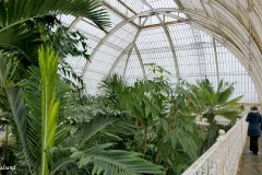 England - London - Kew Gardens - Palm House