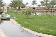 Saudi Arabia - Al Hofuf - King Abdullah Environmental Park