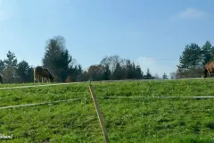 Slovenia - Road south of Ljubljana