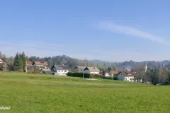 Slovenia - Road south of Ljubljana