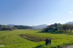 Slovenia - Between Stari Trg and Sneznik