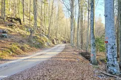 Slovenia - Mount Sneznik (region)