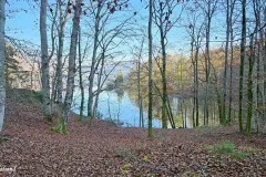 Slovenia - Lake Bohinj