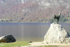 Slovenia - Lake Bohinj