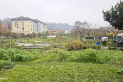 Slovenia - Ljubljana - Emonska Cesta - Allotment Garden