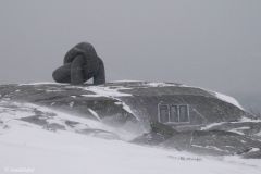 Rogaland - Stavanger - Kvernevik Ring - Jærkysten