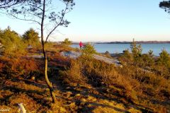 Rogaland - Randaberg - Strandsonen nedenfor Vistnestunet - Jærkysten