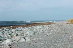 Rogaland - Klepp - Orrestranda - Revtangen - Jærkysten
