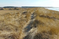 Rogaland - Klepp - Orrestranda - Jærkysten