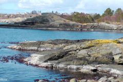 Rogaland - Randaberg - Strandsonen ved Endrestø - Jærkysten