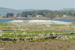 Rogaland - Randaberg - Børaunen - Jærkysten
