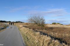 Rogaland - Sola - Regestranda