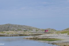 Nordland - Vega