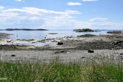 Nordland - Vega