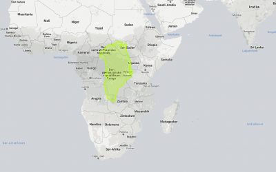The true size of countries