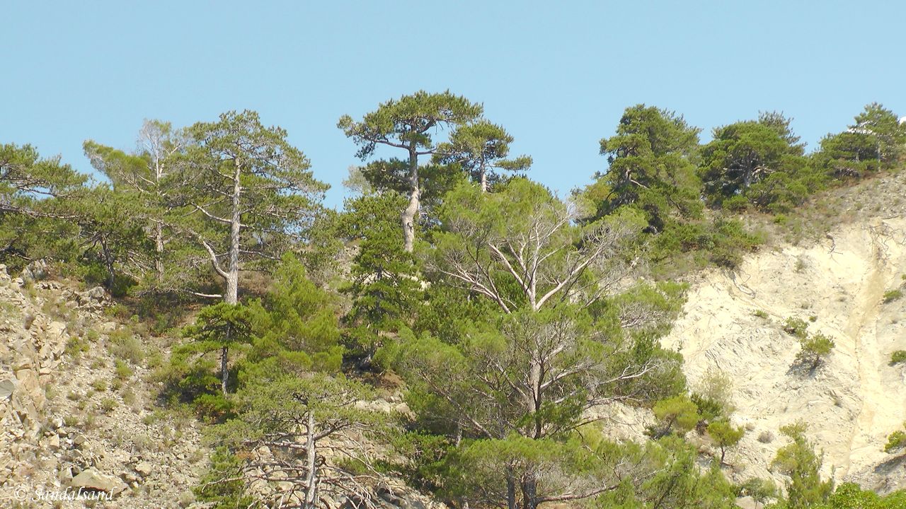 A day trip into the Troodos mountains of Cyprus