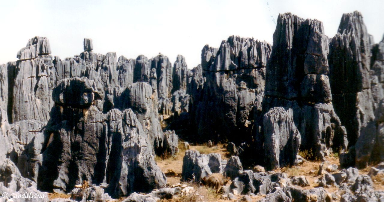 China - Kunming - Shilin Stone Forest