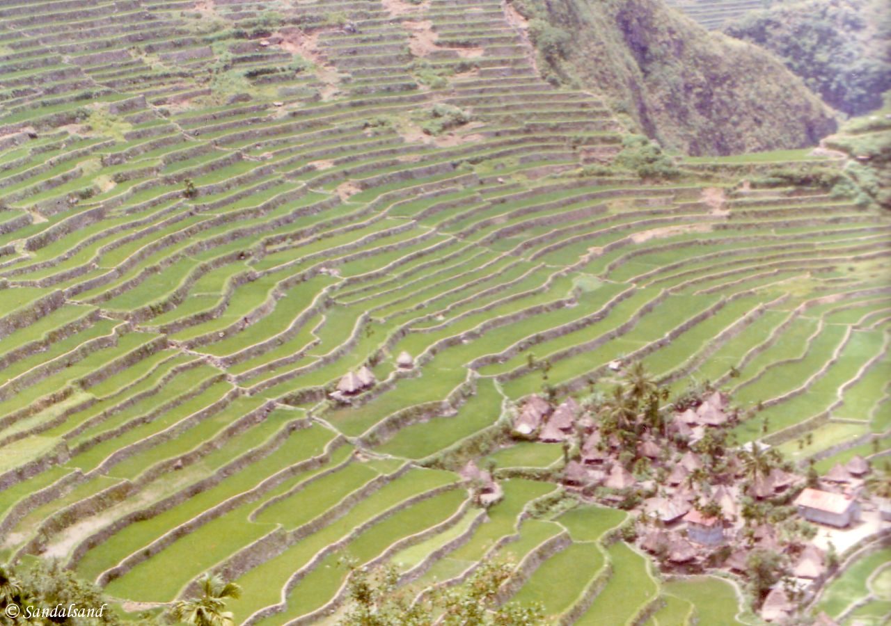 Philippines - Rice terraces near Banaue