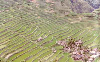 World Heritage #0722 – Philippine Rice Terraces