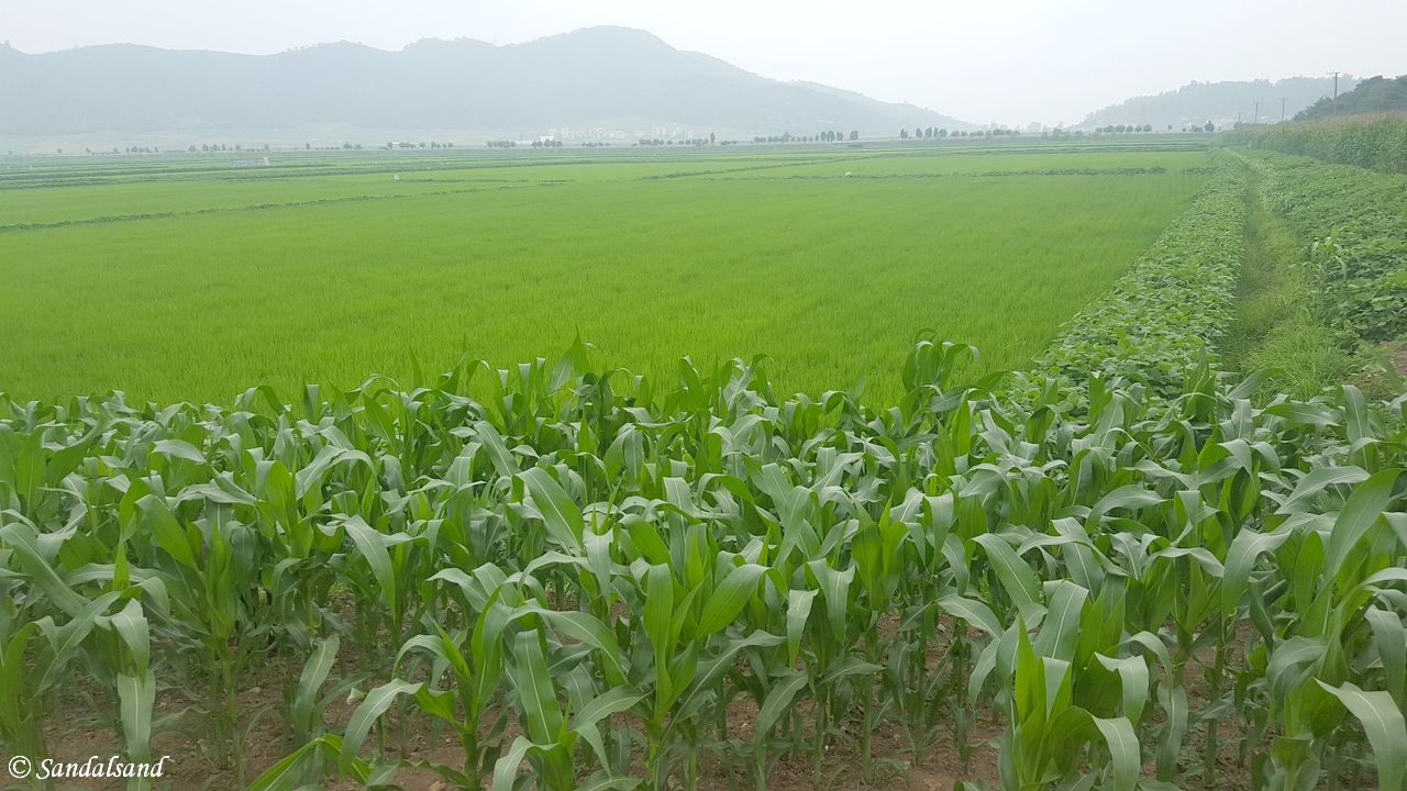 North Korea DPRK - Cooperative Farm no 1
