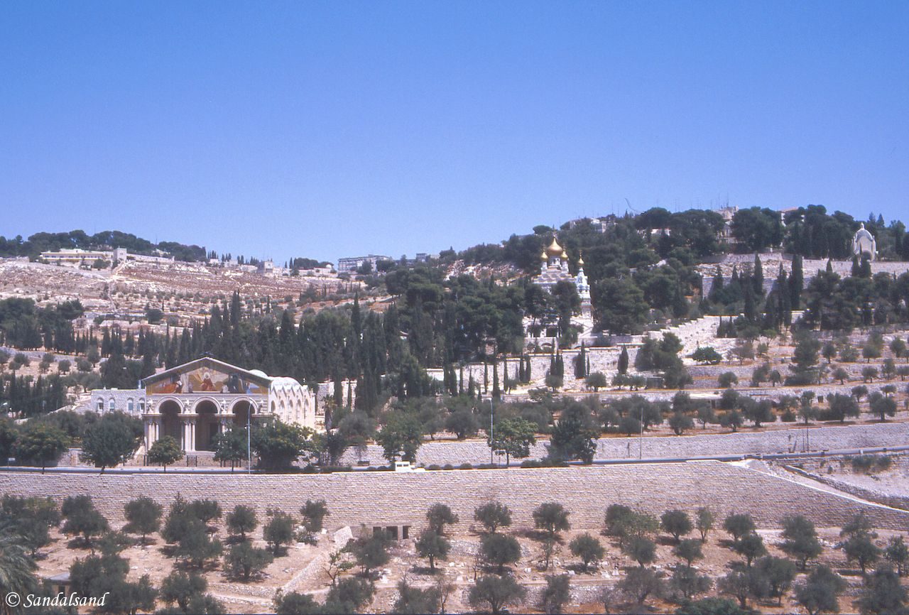 Israel / Palestine - Jerusalem Old Town - Garden of Gethsemane towards Mount of Olives, Churches of Gethsemane and Mary Magdalene