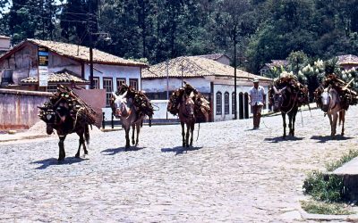 World Heritage #0124 – Historic Town of Ouro Preto