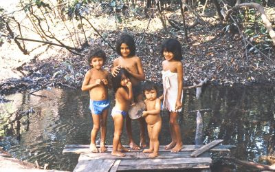 World Heritage #0998 – Amazon