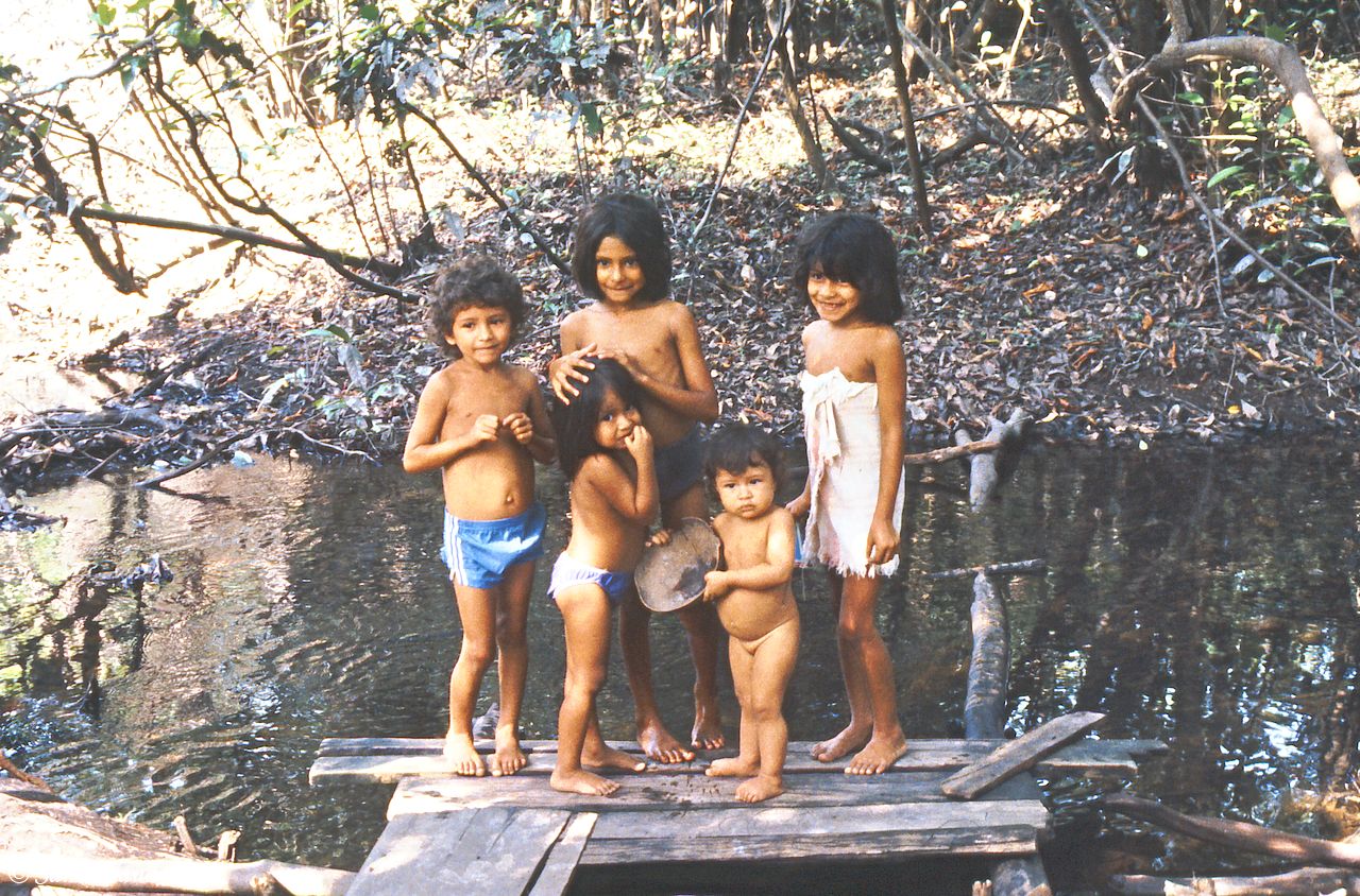 Brazil - Amazonas safari