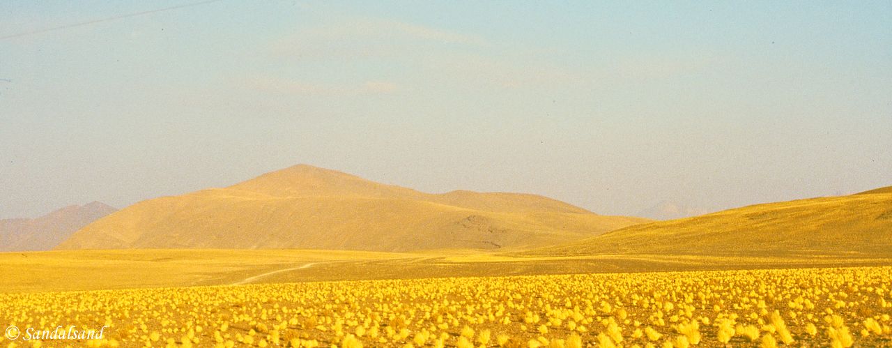 Bolivia - Train to southwest